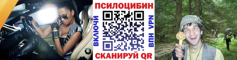 Псилоцибиновые грибы мухоморы  Купить закладки  Будённовск 